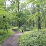 Ojibway Park
