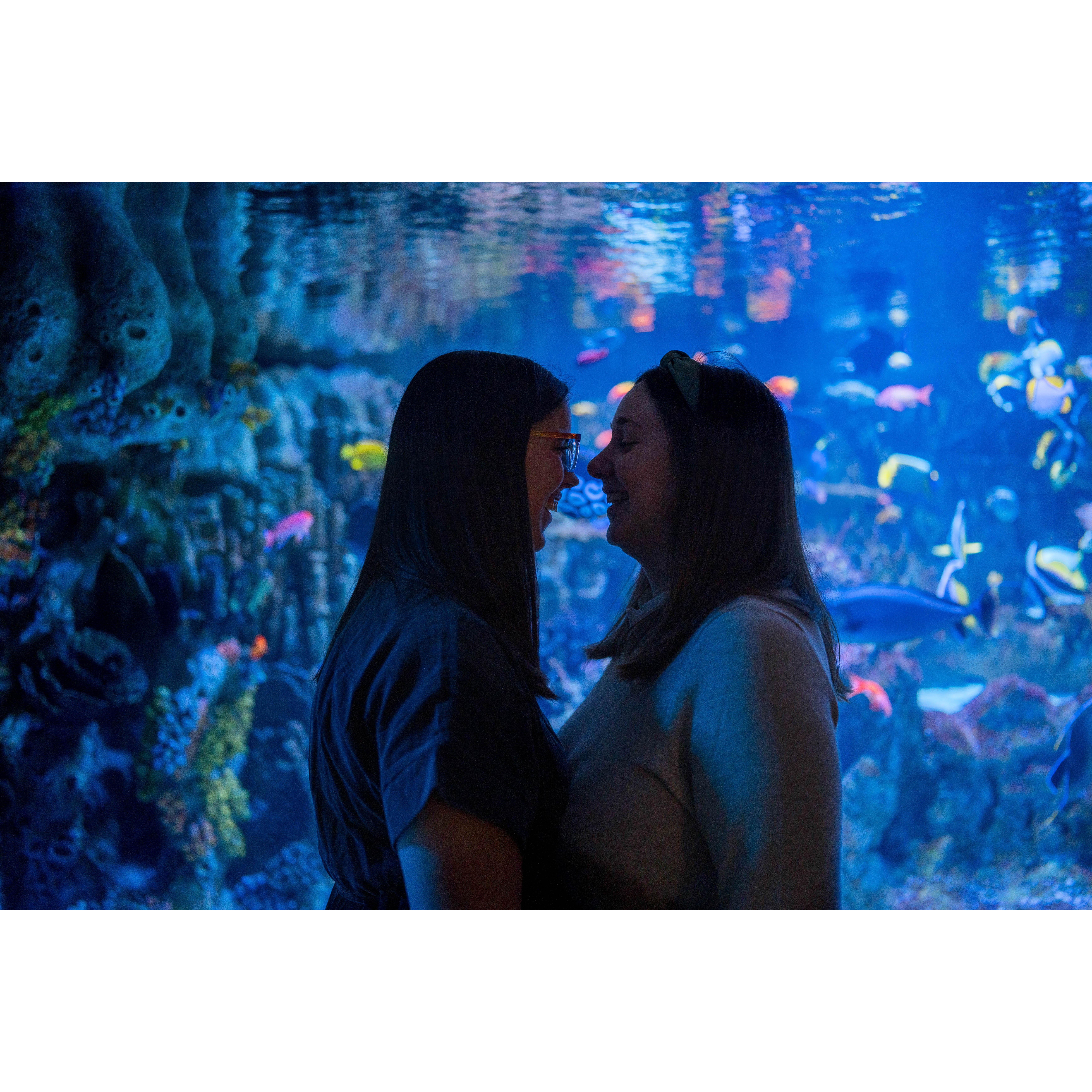 Engagement photos: fish!
