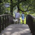 Stowe Recreation Path