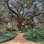 Washington Oaks Gardens State Park