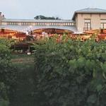 Chandler Hill Vineyards