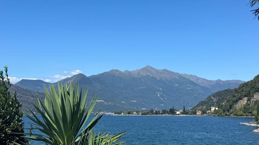 db23f127-6c10-4b86-b691-050685c16933