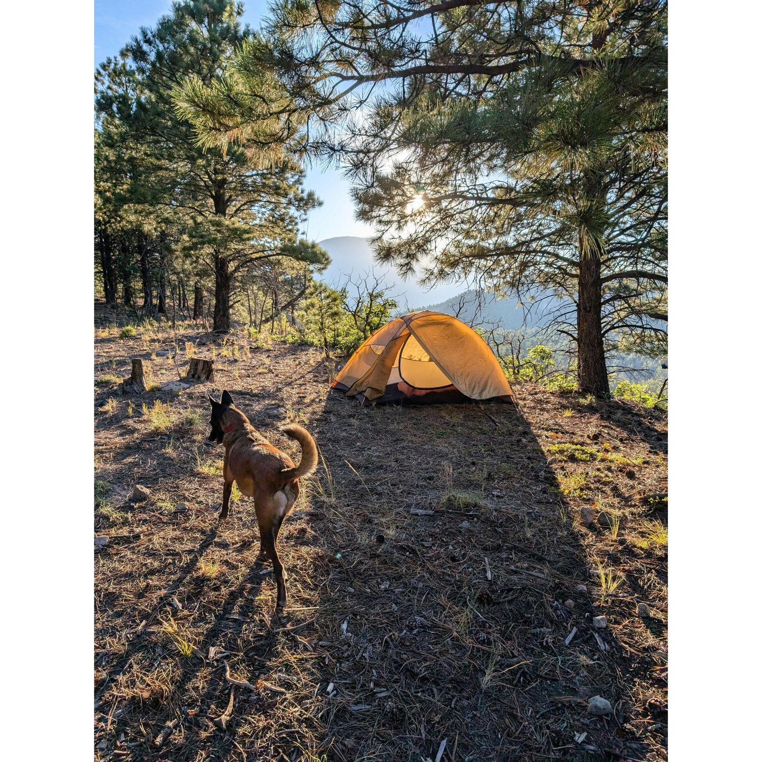 Victoria's first camping trip!