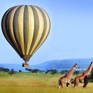 Sunrise Hot Air Balloon Ride in the Serengeti