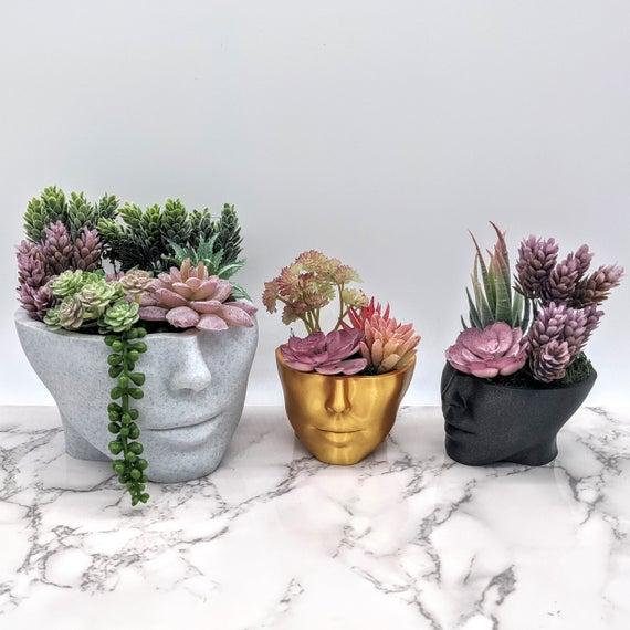 Head Planter, Face Planters, Face pot, Headplanters, Pots for Plants