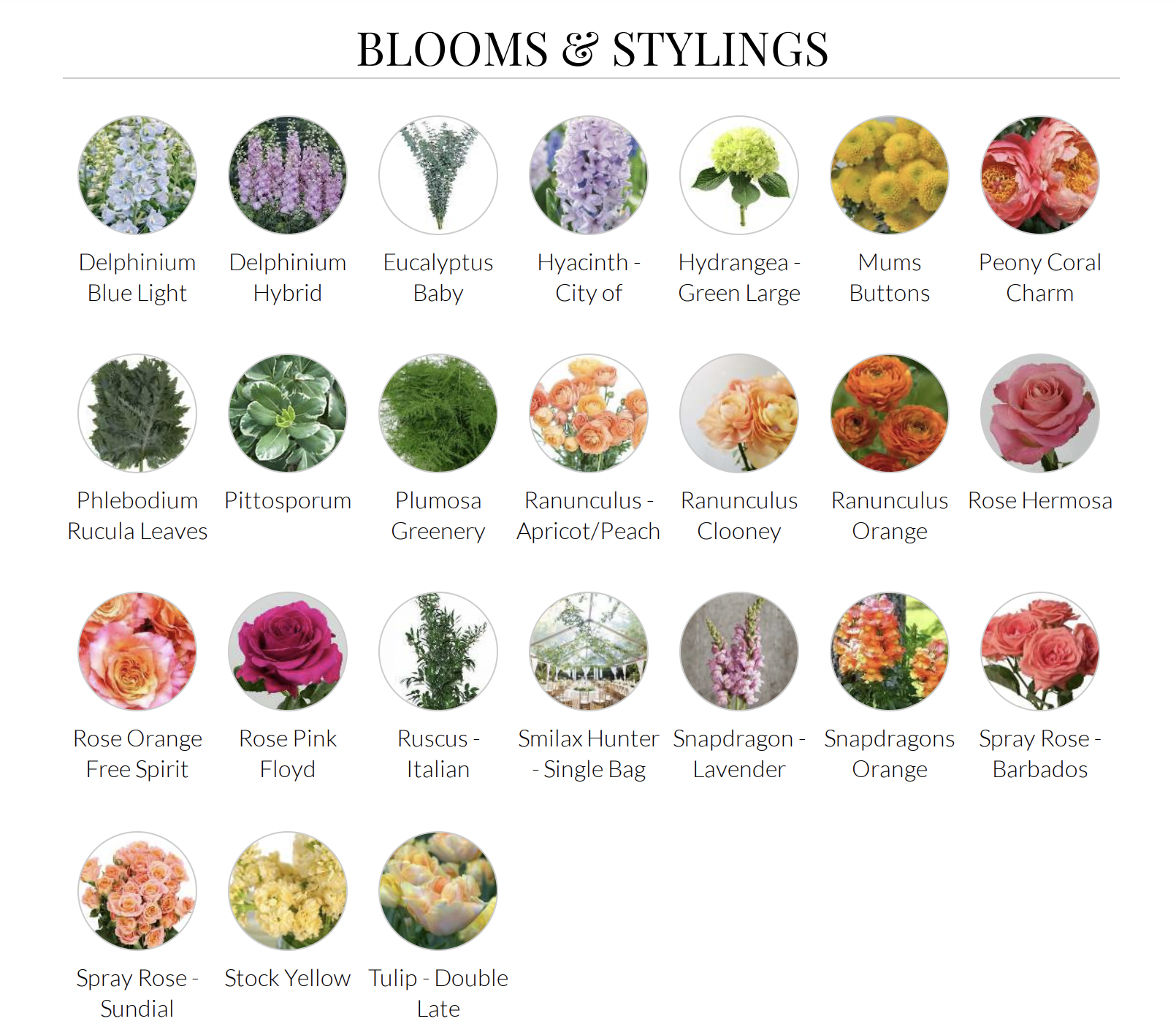The Wedding Website of Sydney Solomon and Sagi Rada