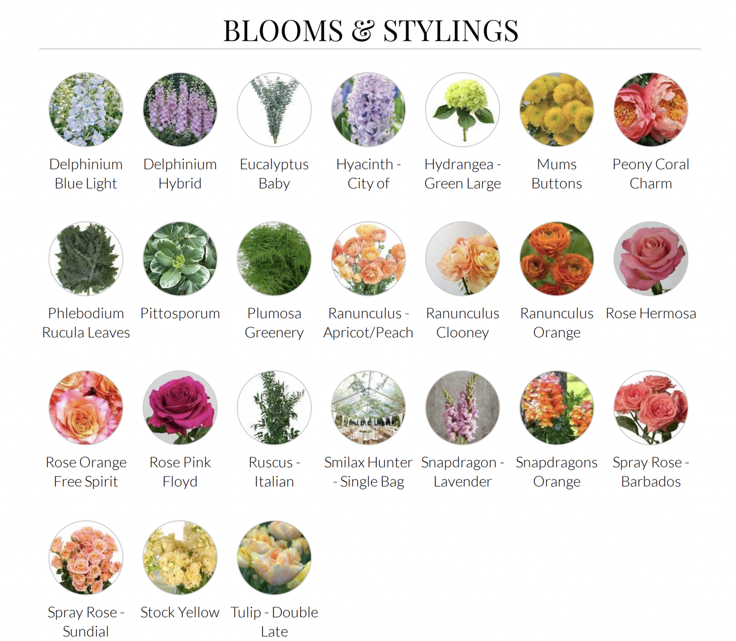 The Wedding Website of Sydney Solomon and Sagi Rada