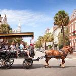 Horse and Carriage Tour