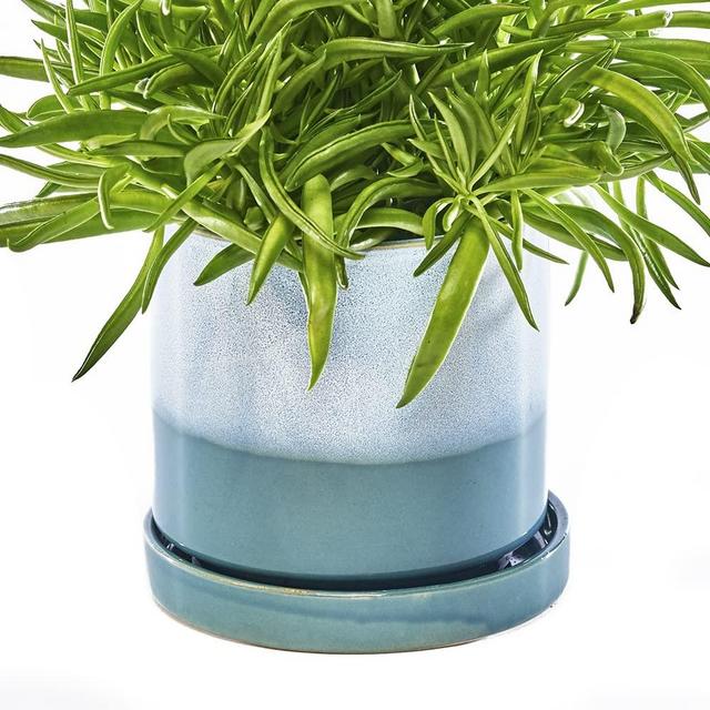 CHIVE ‘Minute’ Ceramic Planter Pot — Cute 5” Colorful Succulent Pots for Indoor & Outdoor House Plants — Beautiful Modern Farmhouse Kitchen Decor — Blue Aqua