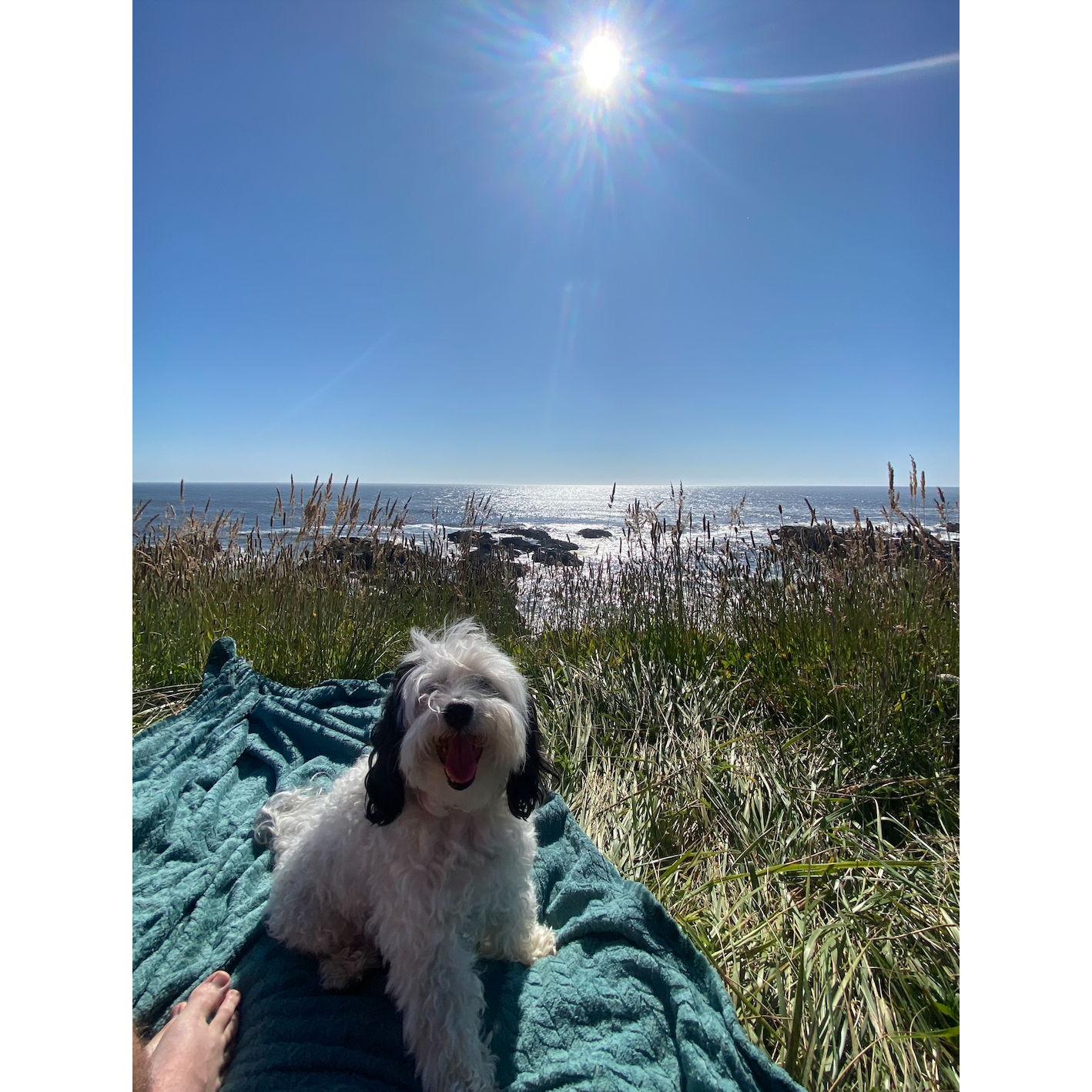 The day we scoped out the venue. Spike approved!