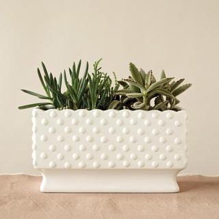 Bungalow Lane Hobnail Planter