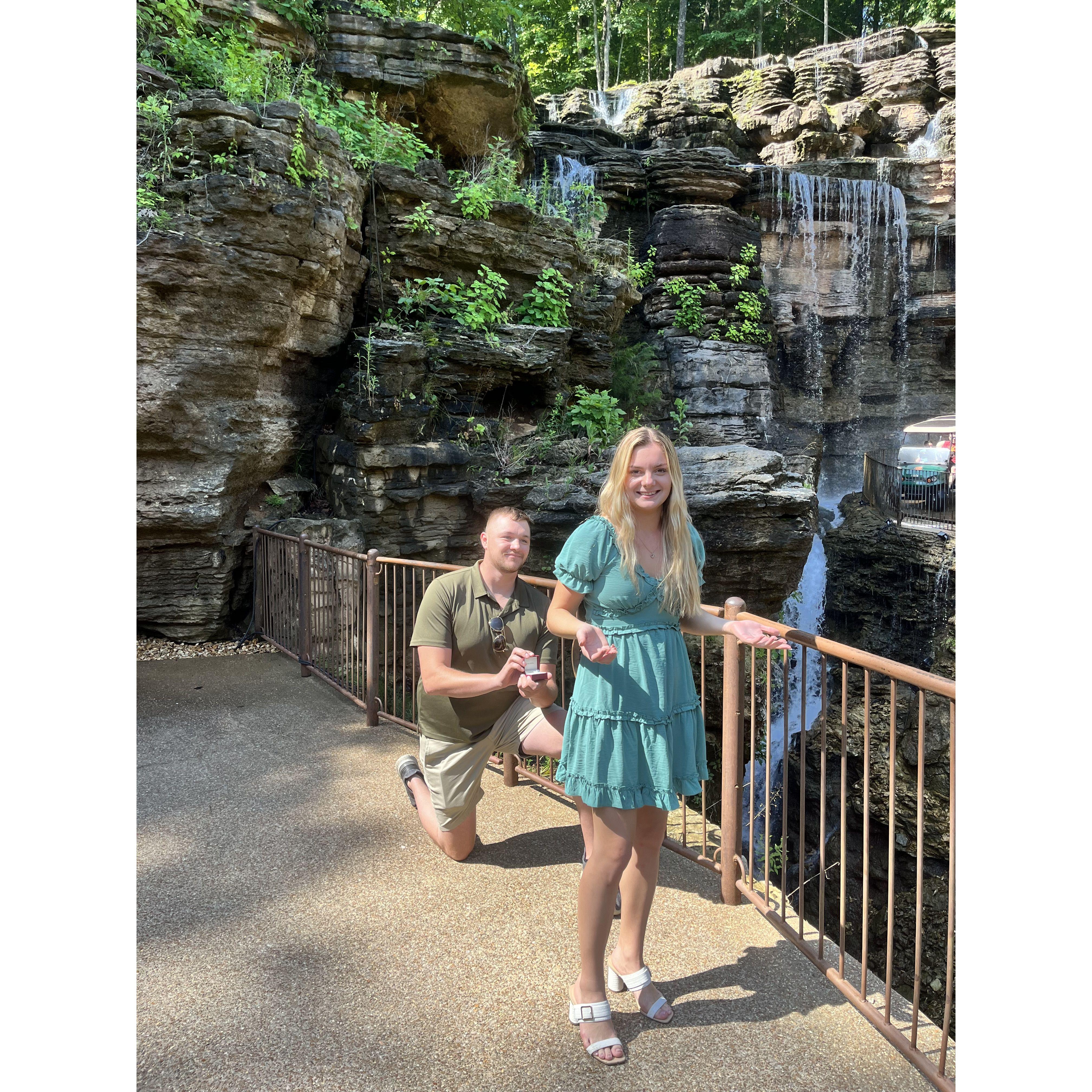 Jacob had just pushed me off of him, and I was so confused