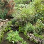 Griffith Park - Ferndell Trail