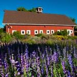 Denver Botanic Gardens Chatfield Farms
