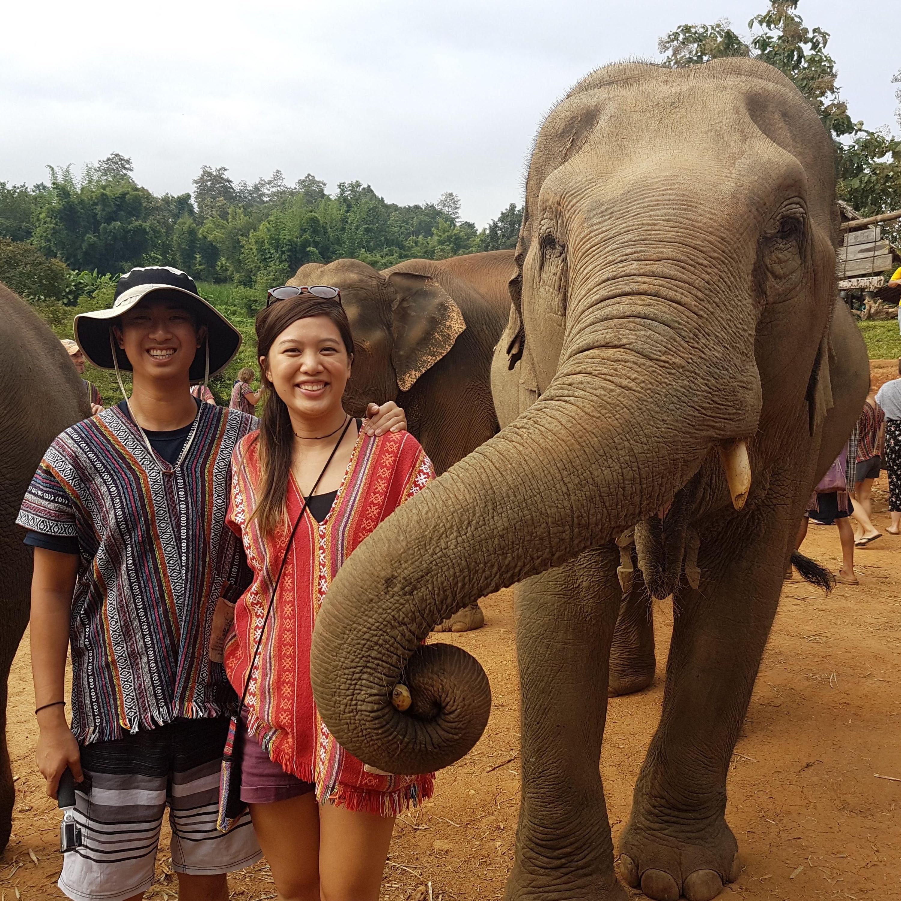 Visiting Thailand and having an ele-fun-t time!