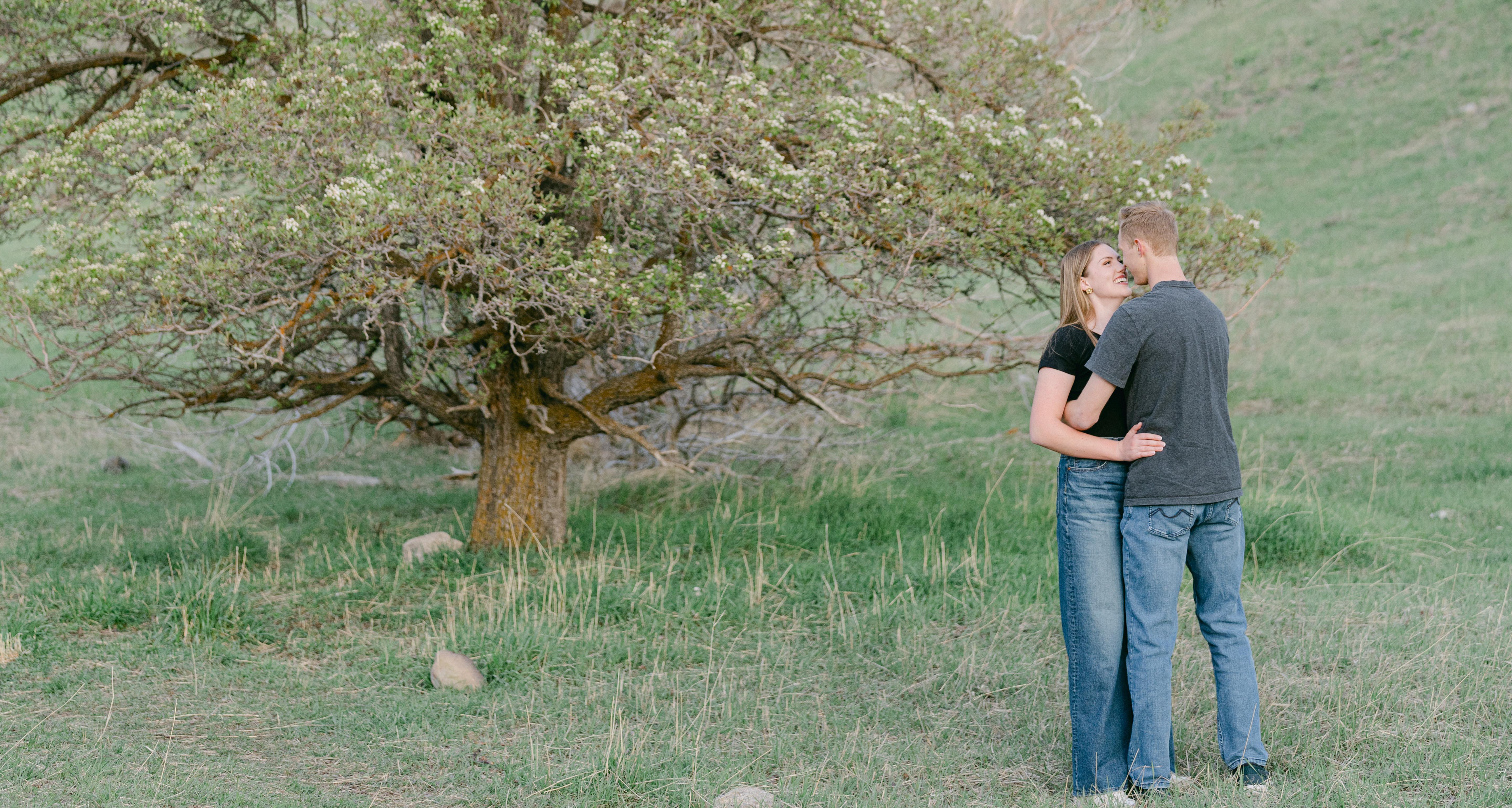 db2d5d34-e15c-4ff3-9d4a-05ba470cb22c