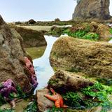 Cannon Beach