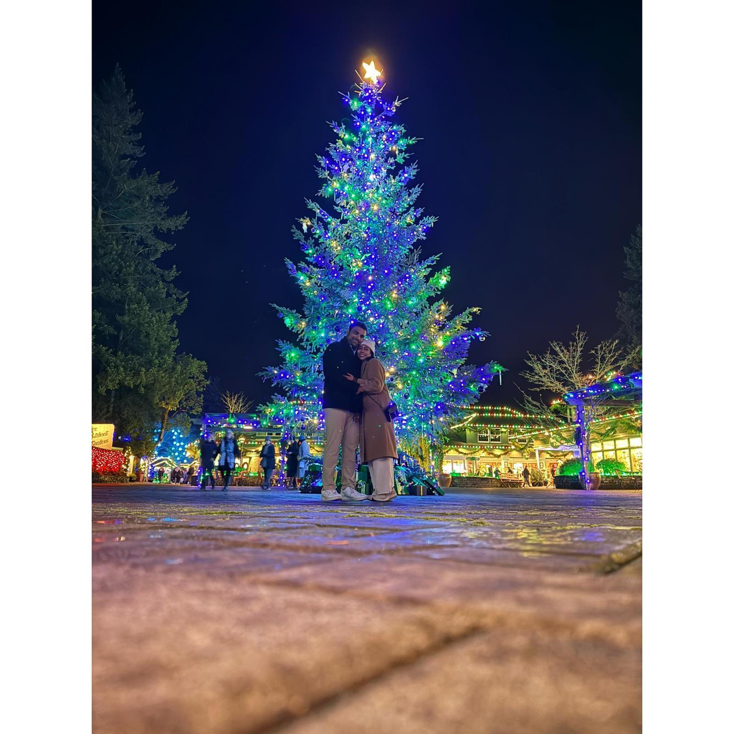 Christmas time :)
