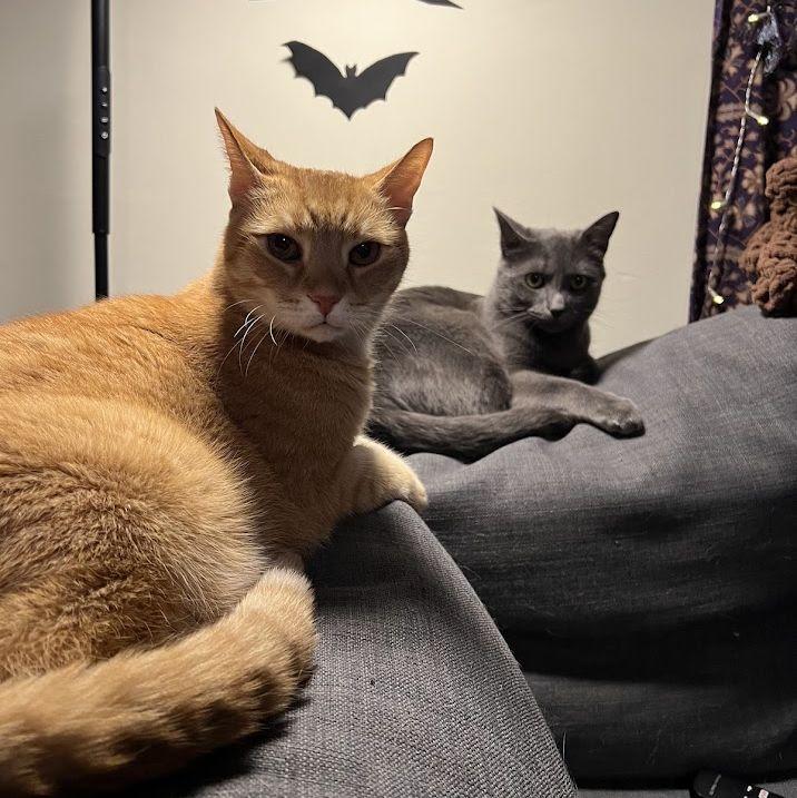 The boys
