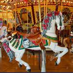 Salem's Riverfront Carousel