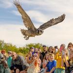 The Peregrine Fund's World Center For Birds of Prey