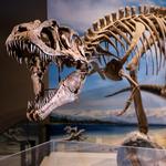 Natural History Museum of Utah