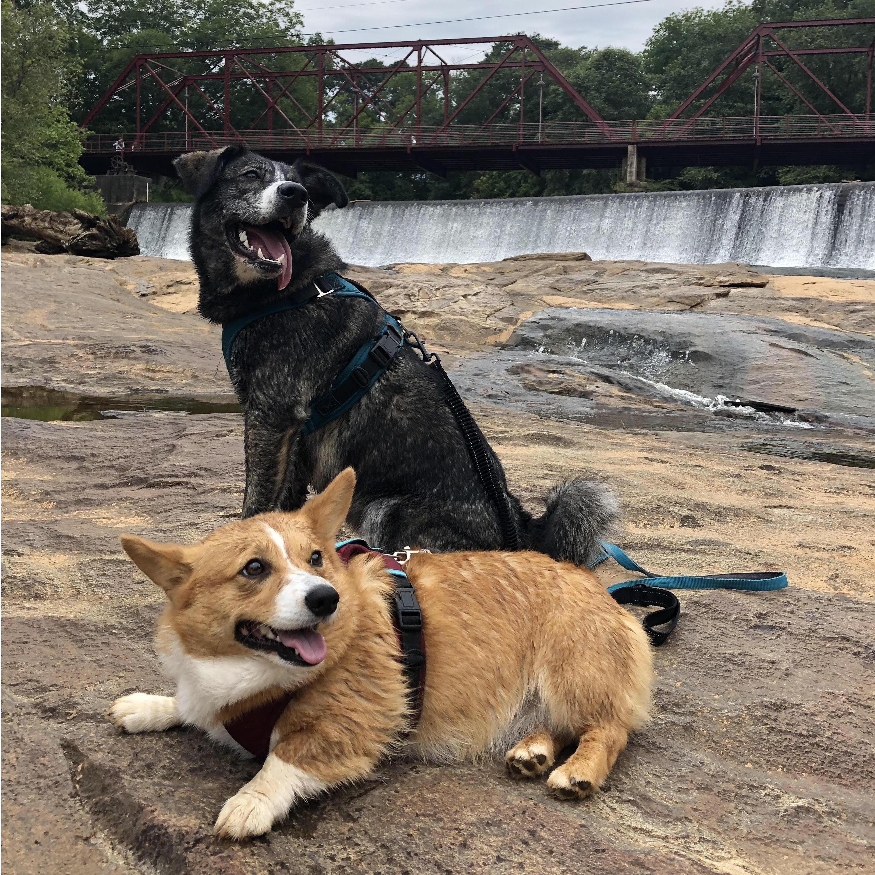We love a good adventure with Leo and Lexi