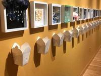 Dunedin Fine Art Center