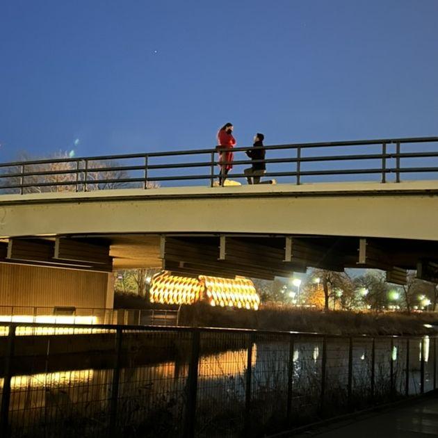 Brian proposed on the bridge in Lincoln Park while Kara and Joe hid below snapping pictures!