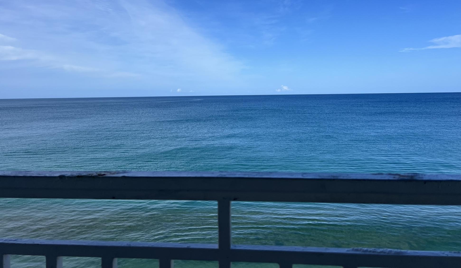 The Wedding Website of Brittany Powell and Samantha Diaz