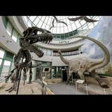 North Carolina Museum of Natural Sciences