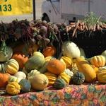 Boulder County Farmers' Market - Saturday Longmont Market