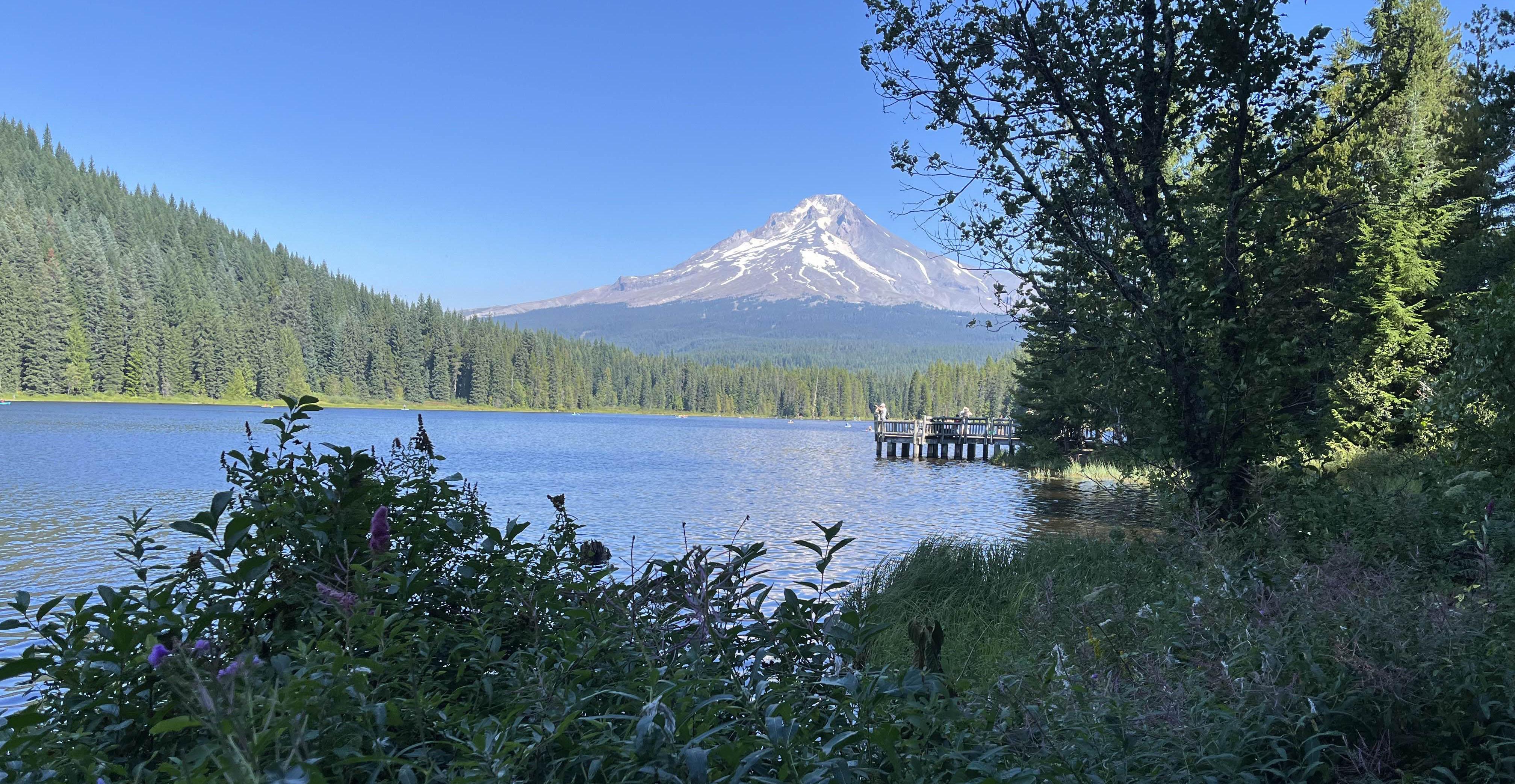 db3d4159-c918-4604-bfb1-24d1329c1278