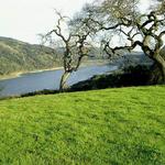 Coyote Lake-Harvey Bear Ranch County Park