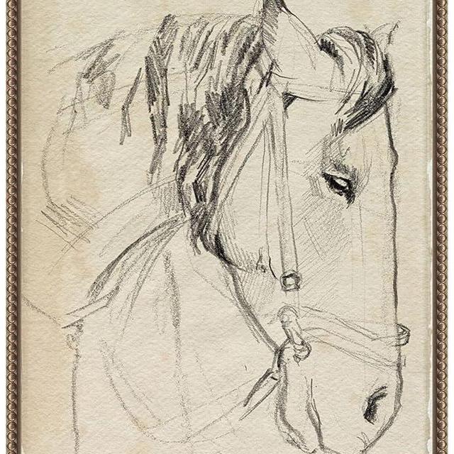 Amanti Art Framed Canvas Wall Art 24x18 Horse in Bridle Sketch I by Jennifer Paxton Parker, Framed Wall Art Canvas, Animals Artwork, Traditional Decor, Medium Poster Painting for Living Room, Bedroom