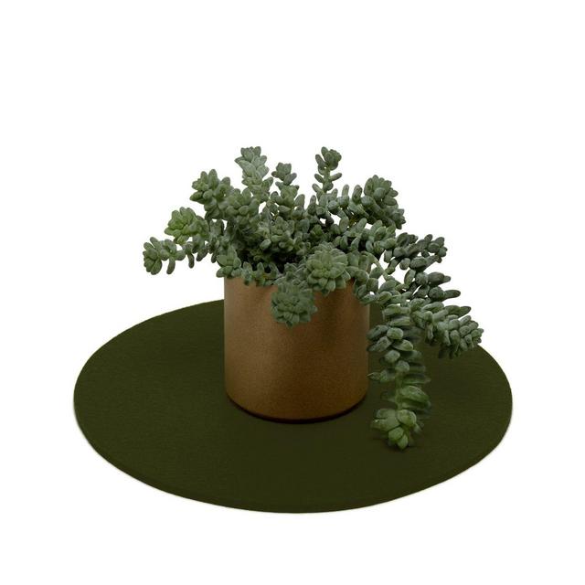 Round Trivet Felt 10”
