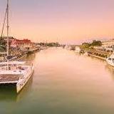 Shem Creek