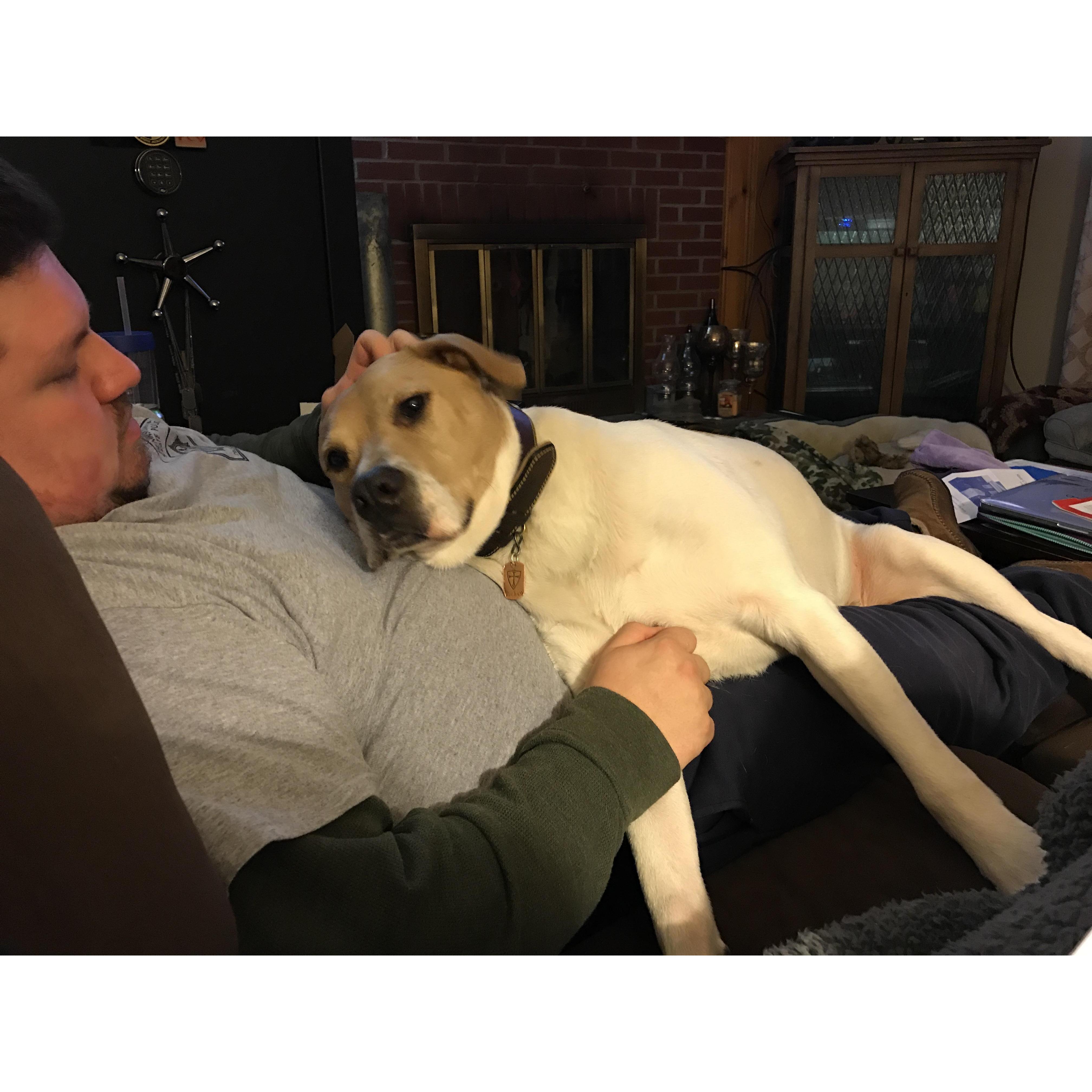 He's clearly not a snuggly doggo....