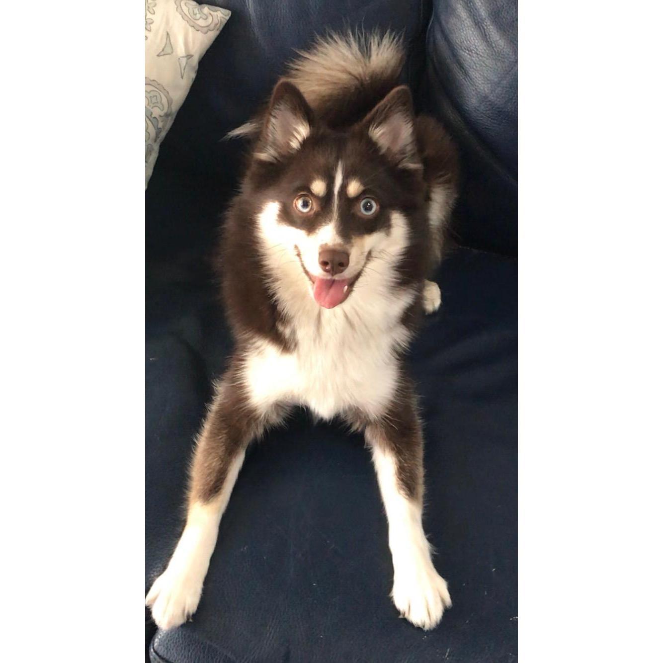 Sassy Ms. Skye 😍