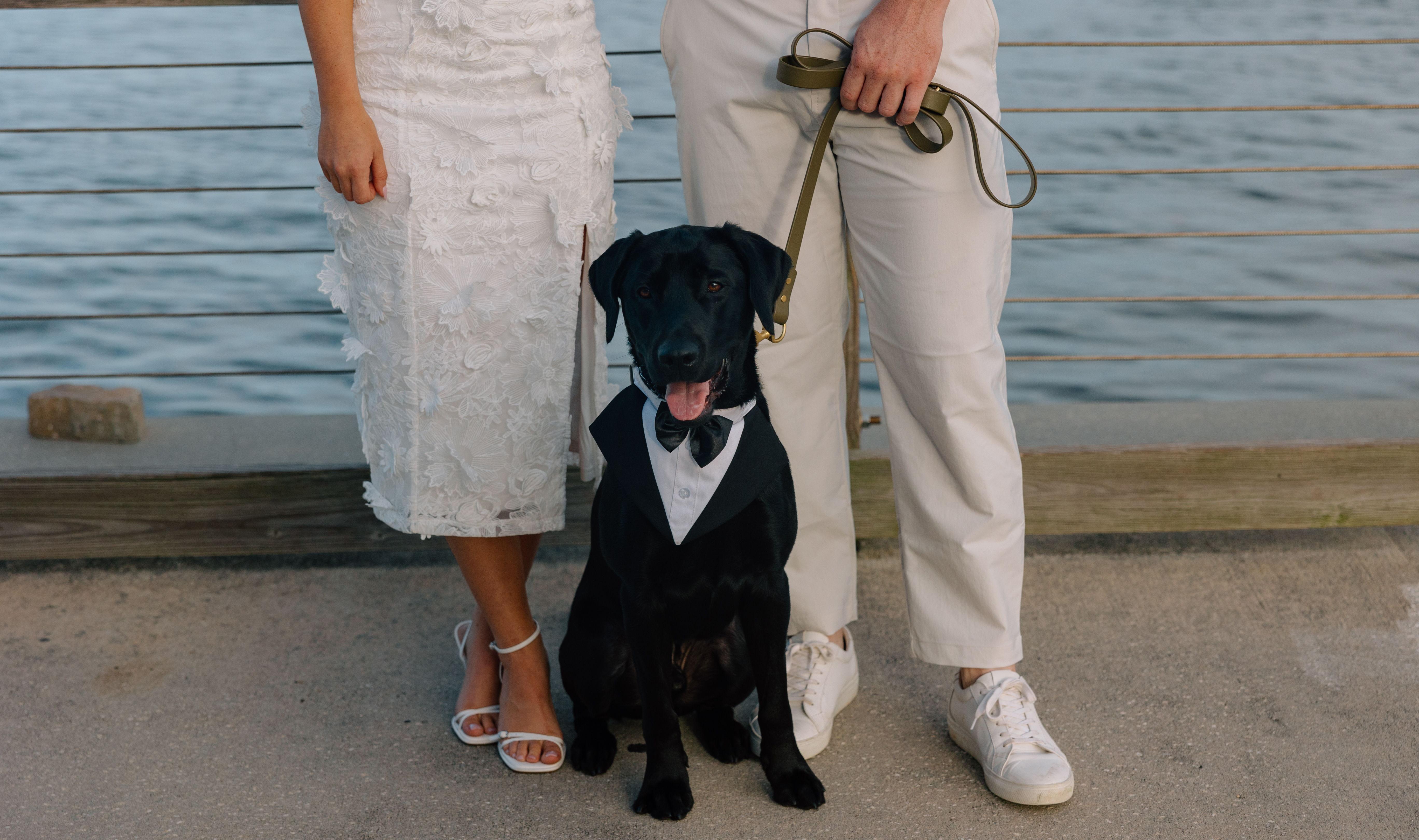 db419a09-97df-45a0-87ef-6204b70fb5fd