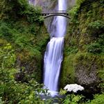Multnomah Falls