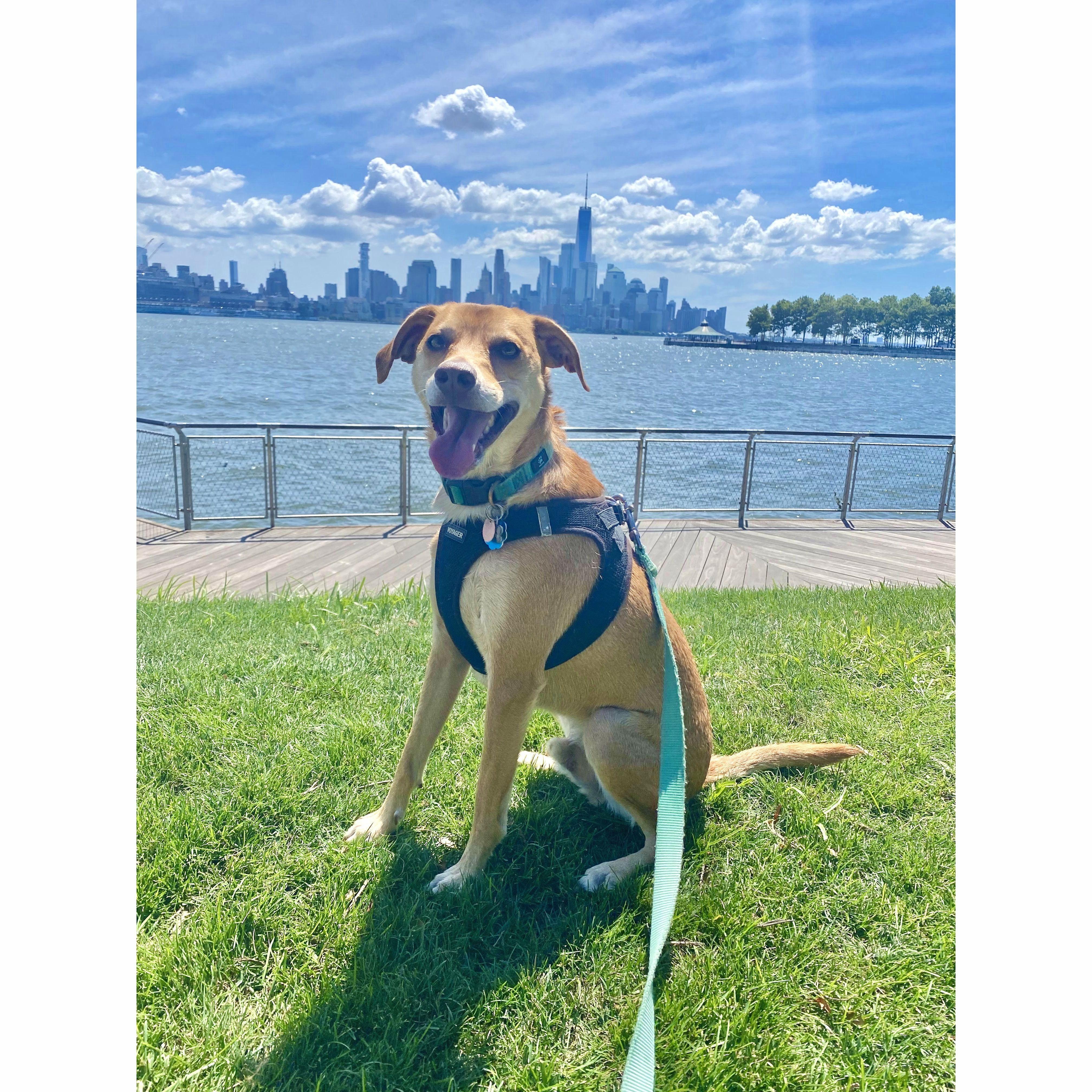 Murphy