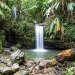 El Yunque National Forest