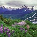 Kenai National Wildlife Refuge