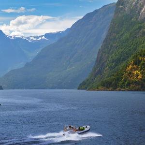 Fjord Safari