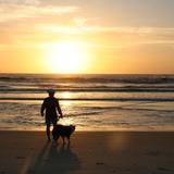 Mickler’s Landing Beach