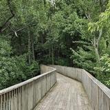 Sarett Nature Center
