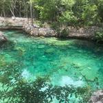 Cenotes Casa Tortuga
