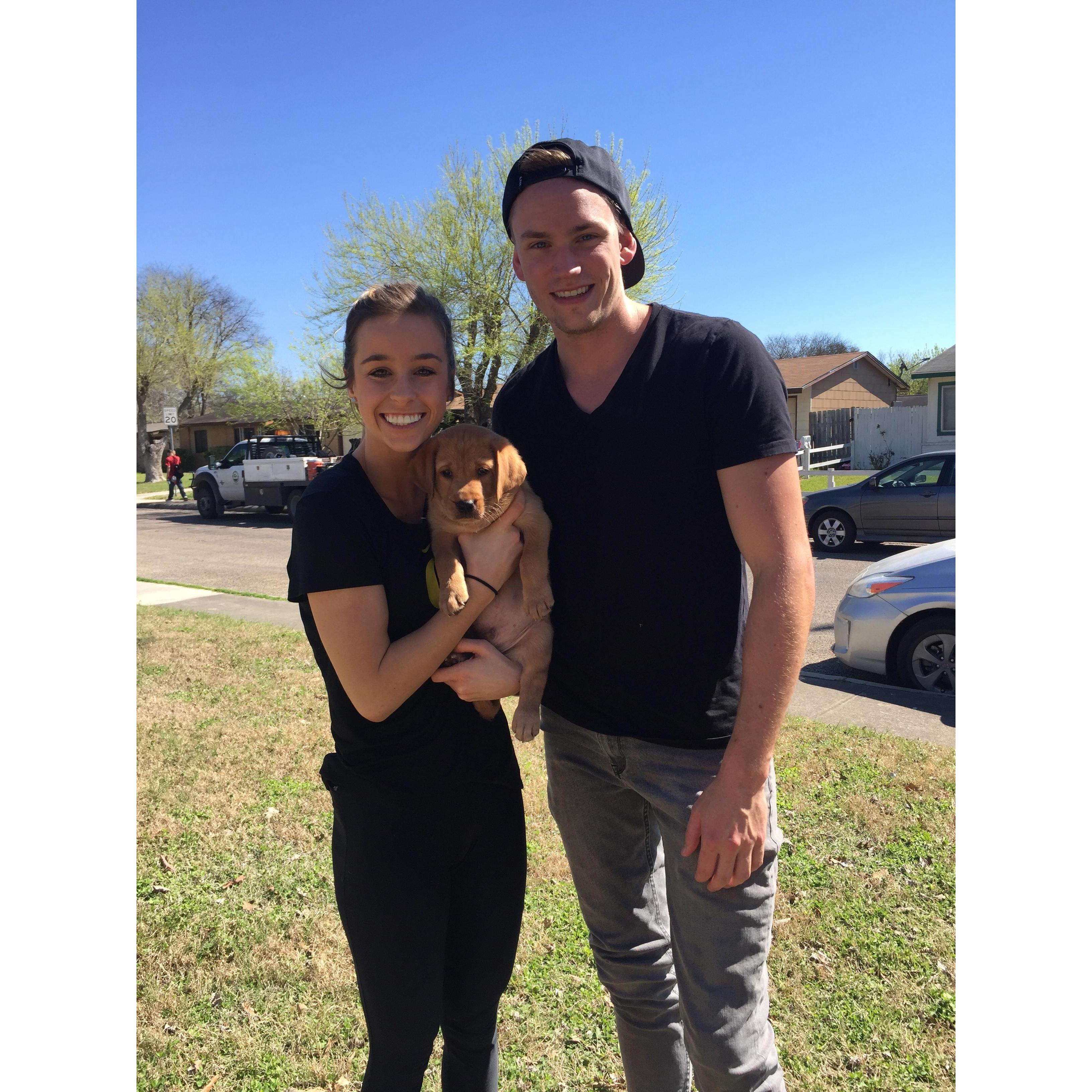 Naturally, we had to get a dog....enter, Goose!