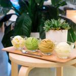 Elephant Garden Creamery - Ice Cream